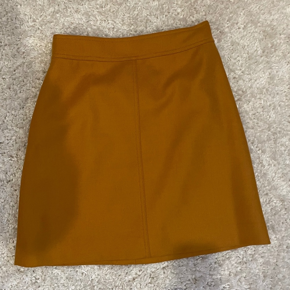 J. Crew Women's Skirt